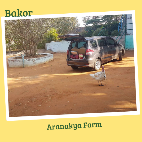 Bakor Aranakya farm