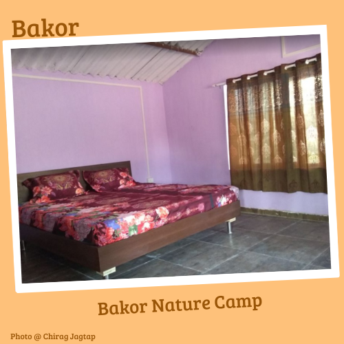 Bakor Nature Camp Room Inside View