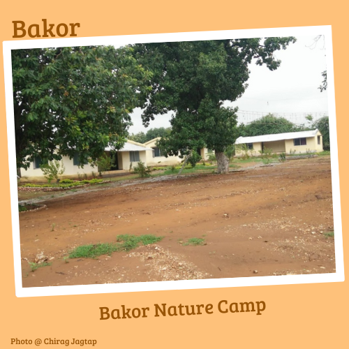 Bakor Nature Camp