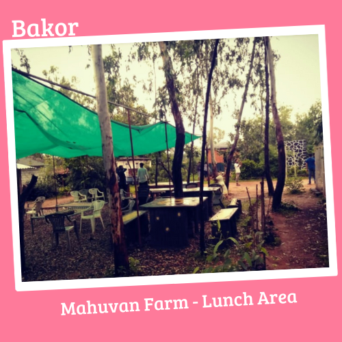 Bakor Mahuvan Farm Lunch Area