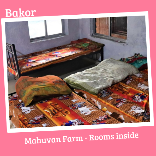 Mahuvan Farm Rooms Inside