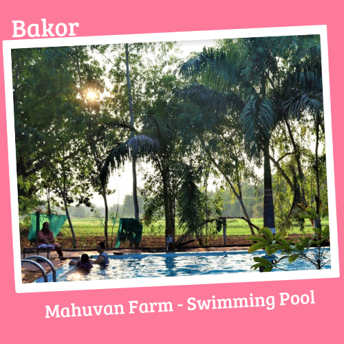 Mahuvan Farm Swimming Pool
